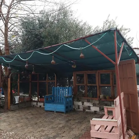 Otel Hasyurt *