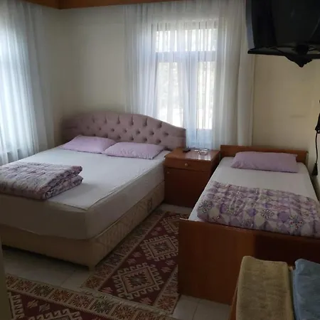 Hasyurt Hotel *